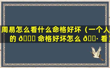 周易怎么看什么命格好坏（一个人的 🐛 命格好坏怎么 🌷 看）